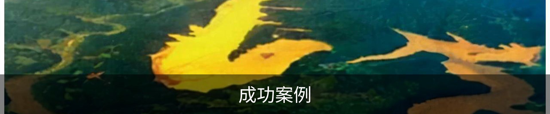成功案例